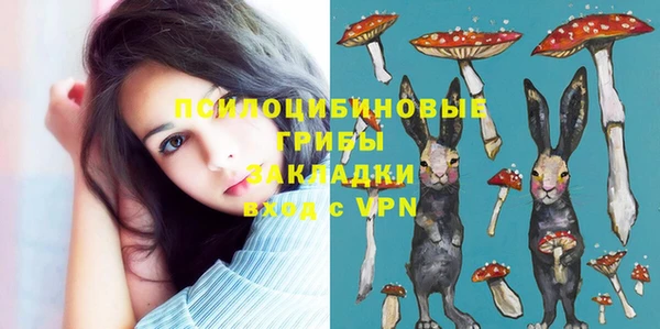 прущий лед Алексеевка